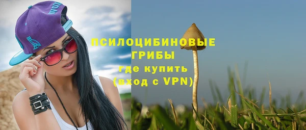 молекула духа Михайловск