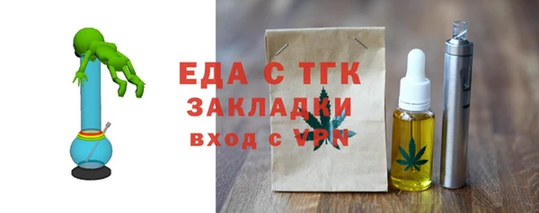 индика Пионерский