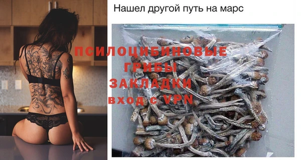 прущий лед Михайловка