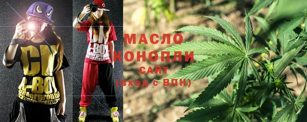 молекула духа Михайловск