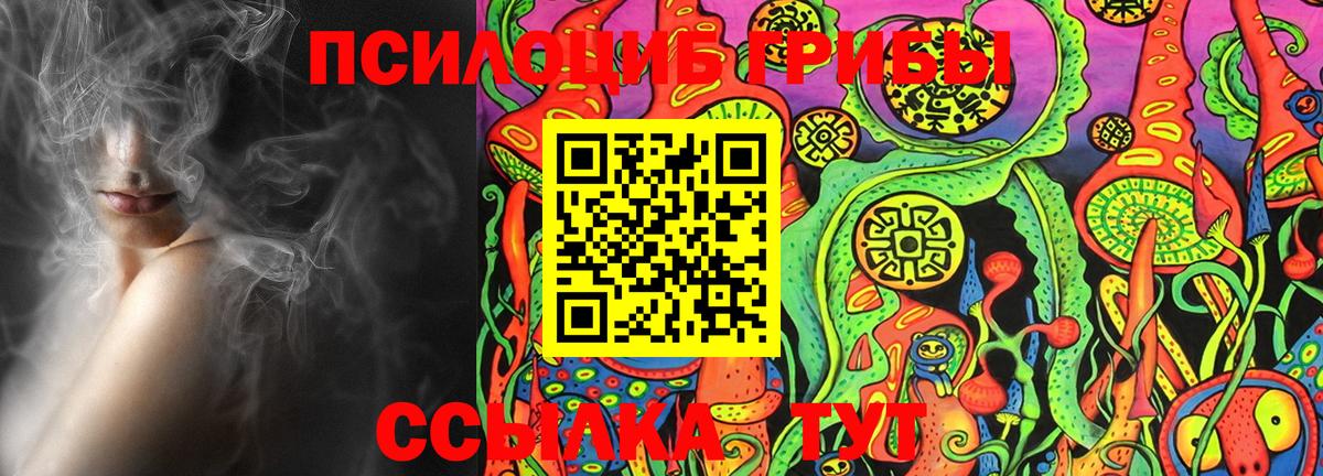 Псилоцибиновые грибы Magic Shrooms Абинск