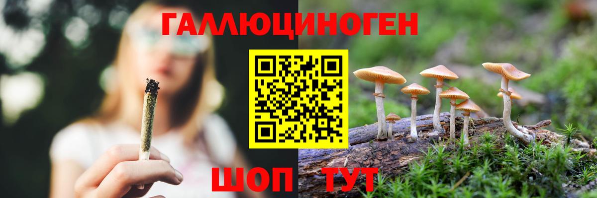 Галлюциногенные грибы Psilocybine cubensis Абинск