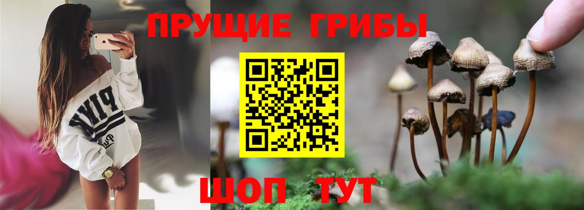 Галлюциногенные грибы мицелий  Вход с VPN  Псилоцибиновые грибы Psilocybine cubensis  Абинск 